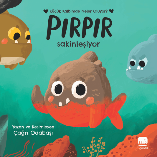 Pırpır Sakinleşiyor - Ciltli – Uçan Fil Yayınları kitap kapağı