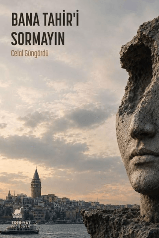 Bana Tahir’i Sormayın – Ayrıntı Yayınları kitap kapağı