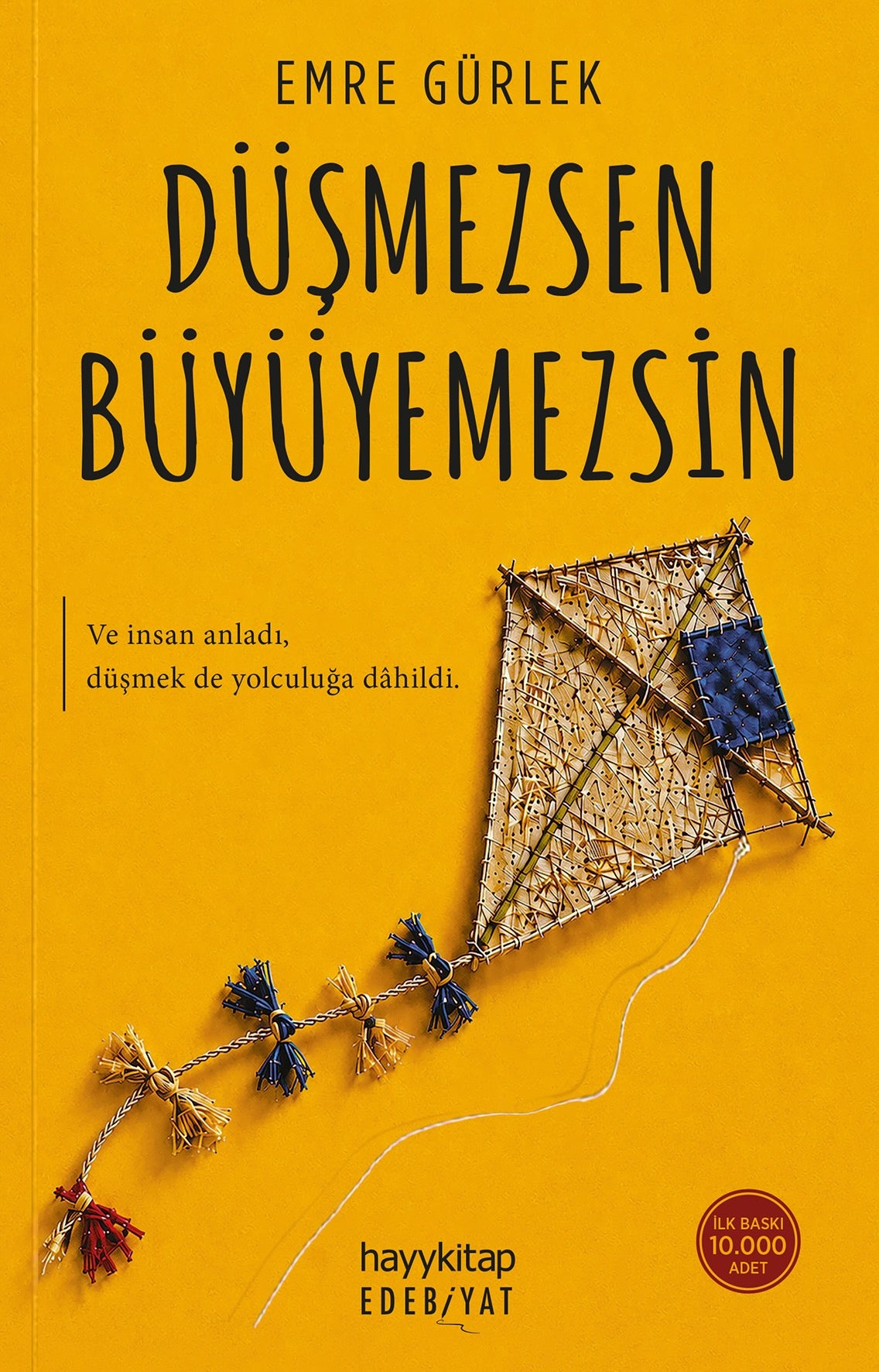 Düşmezsen Büyüyemezsin – Hayykitap kitap kapağı