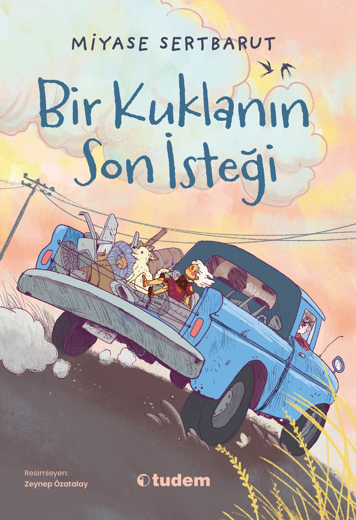 Bir Kuklanın Son İsteği – Tudem Yayınları kitap kapağı