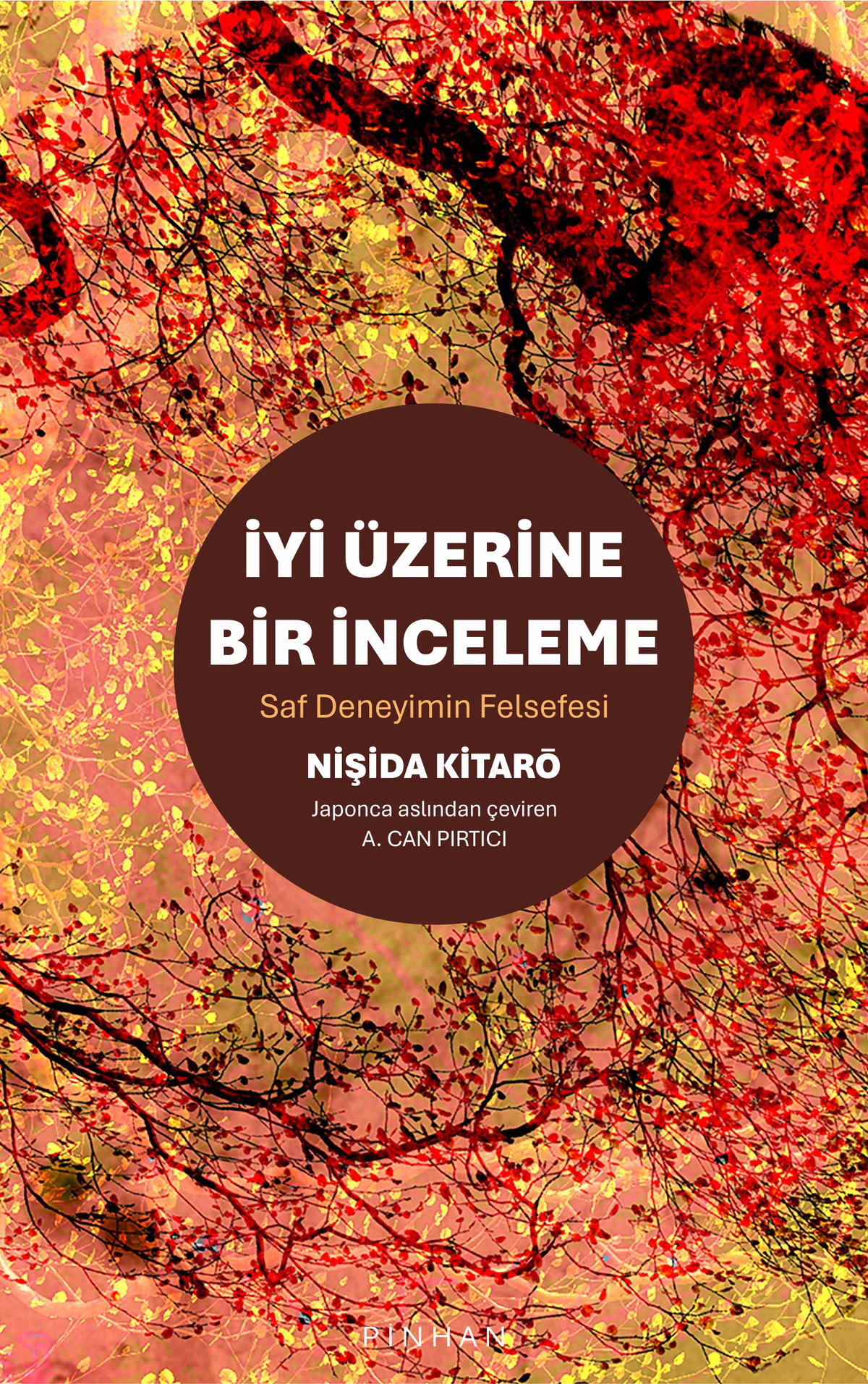 İyi Üzerine Bir İnceleme – Pinhan Yayıncılık kitap kapağı