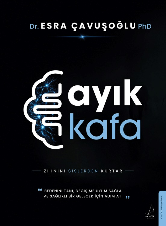 Ayık Kafa - Zihnini Sislerden Kurtar – Destek Yayınları kitap kapağı