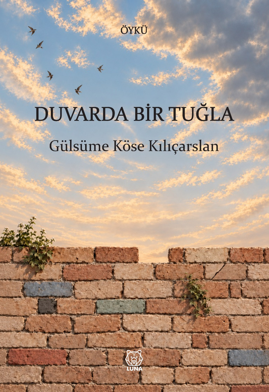 Duvarda Bir Tuğla – Luna Yayınları kitap kapağı