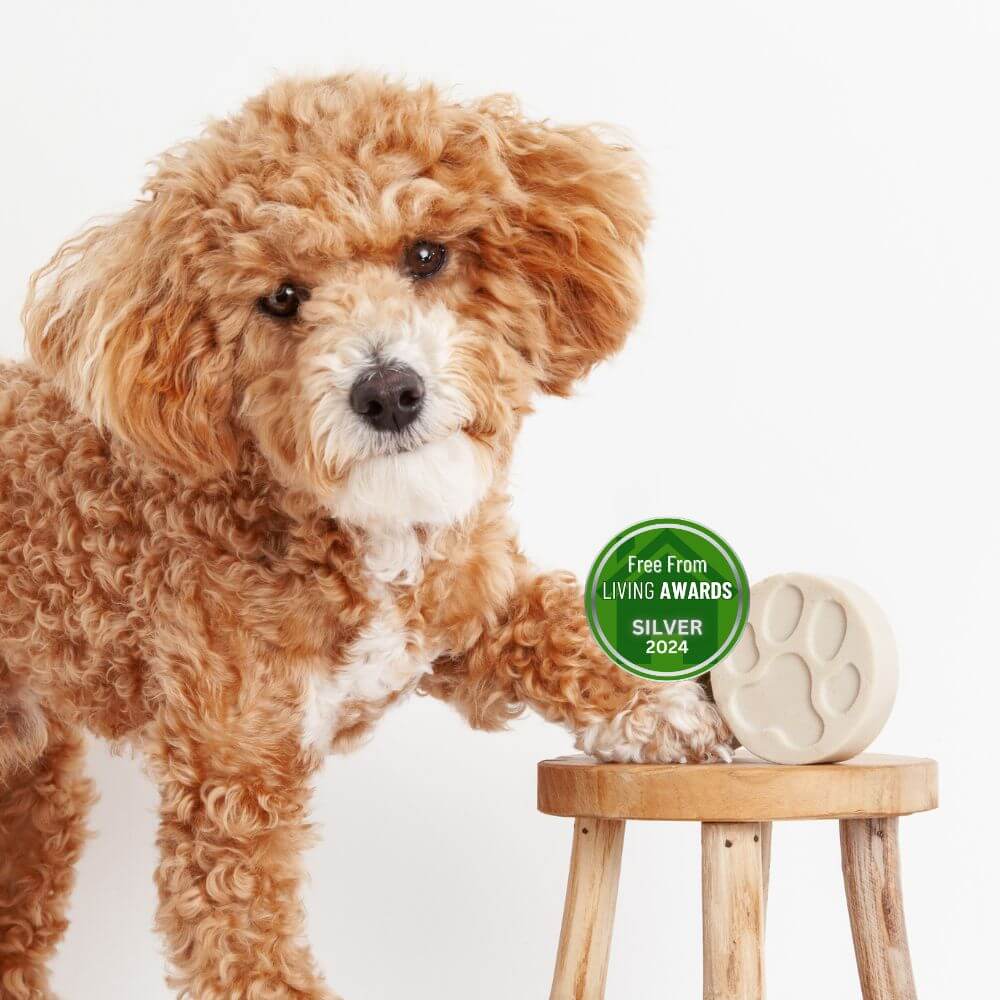 The Dog One - Shampoo Bar Fragrance Free - mezetto