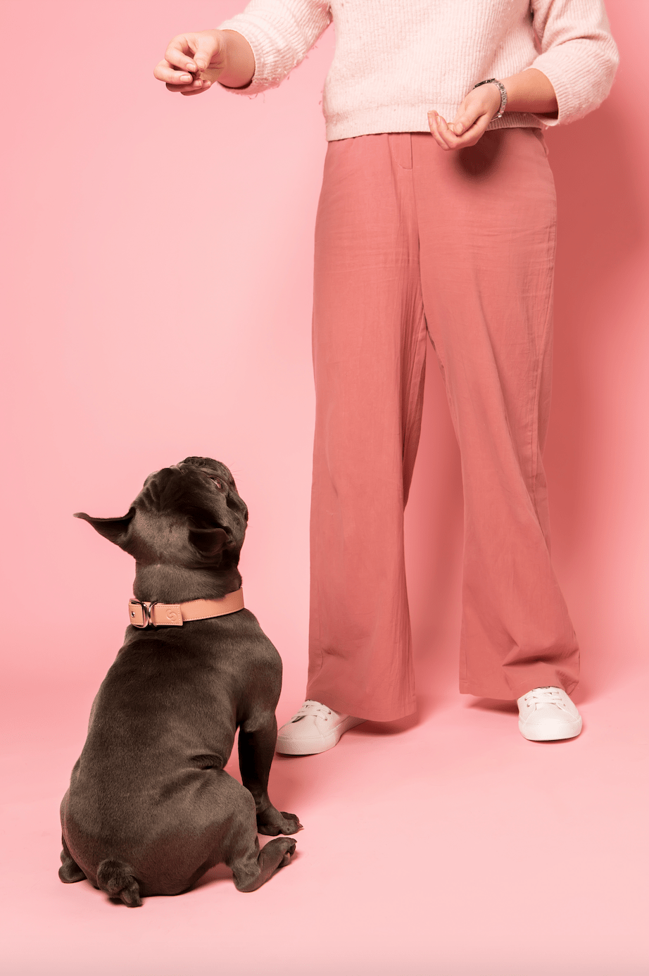 Blush pink vegan apple leather dog collar - mezetto