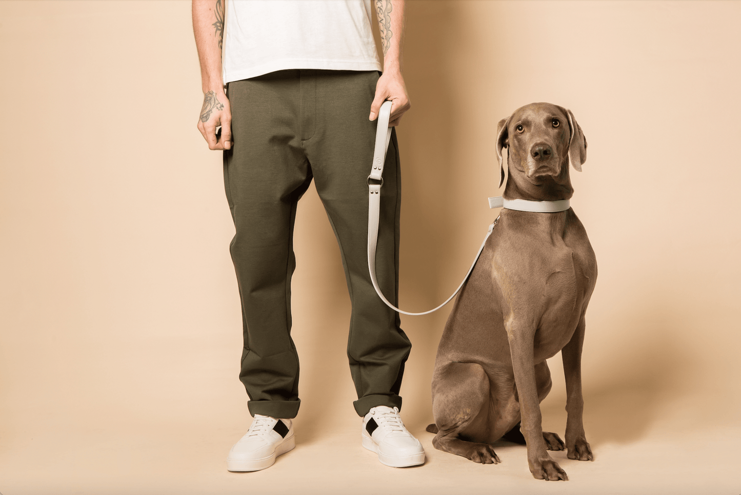 Ice blue vegan apple leather dog collar - mezetto