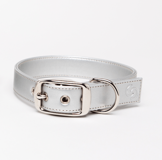 Silver apple leather dog collar - mezetto