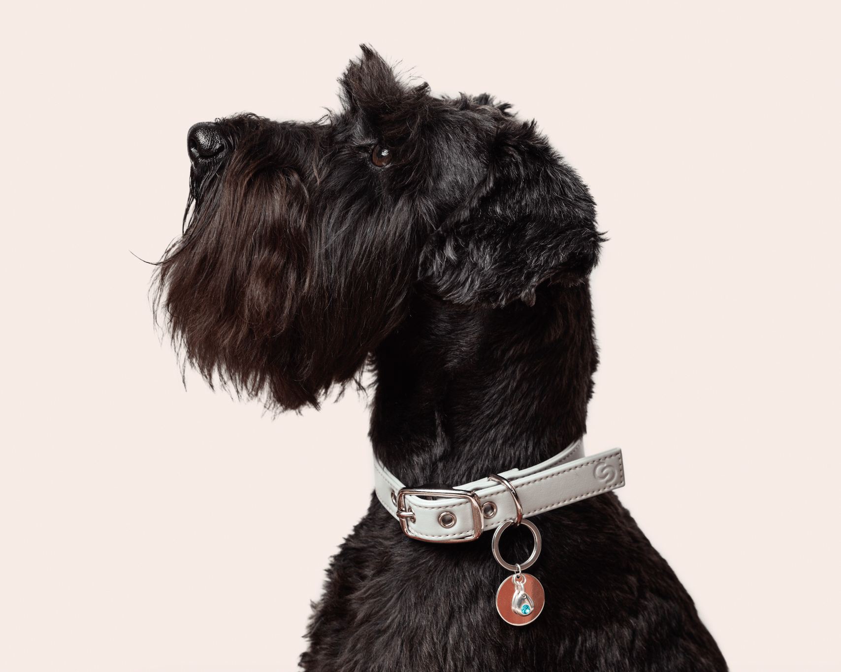 Sterling silver birthstone collar charm - mezetto
