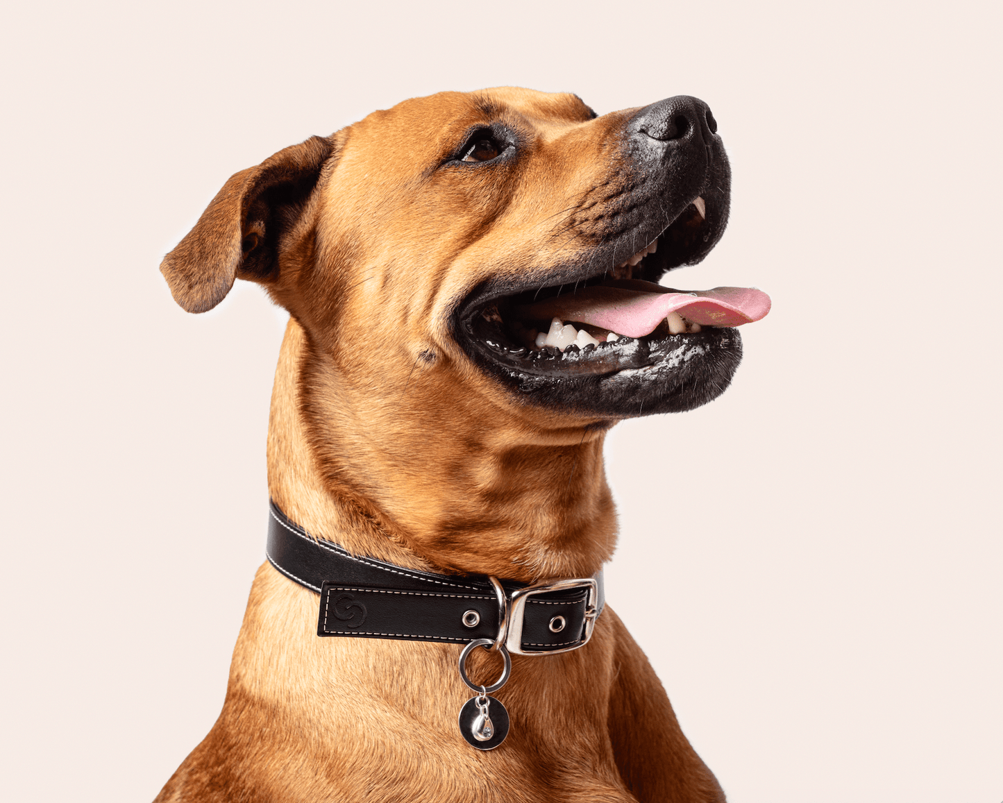 Sterling silver birthstone collar charm - mezetto