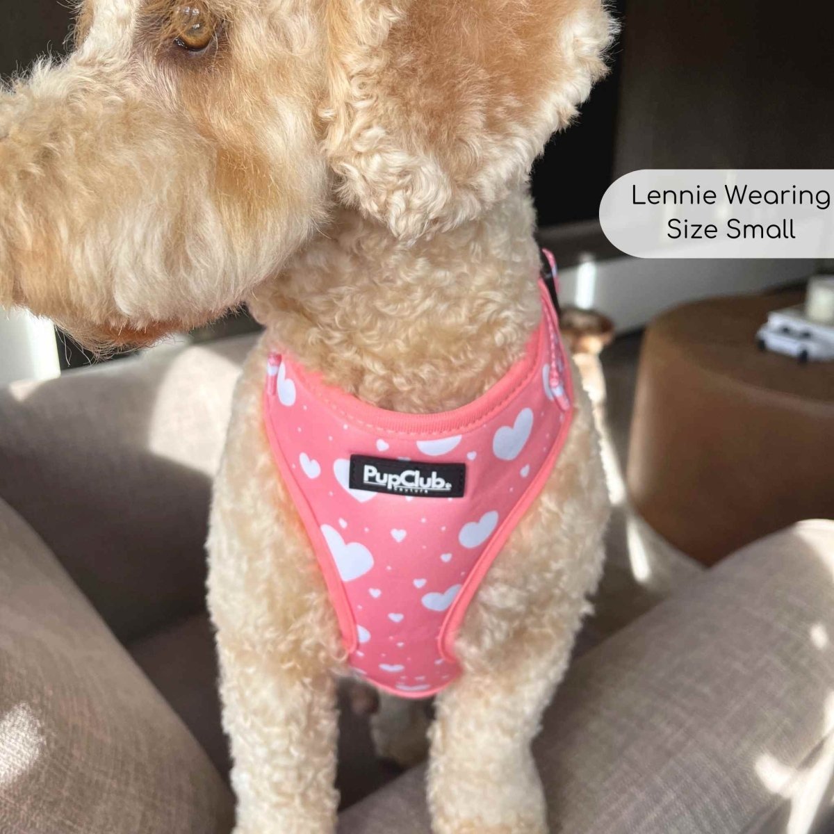 Adjustable Harness - Peachy Hearts - mezetto PupClub Couture PupClub Couture