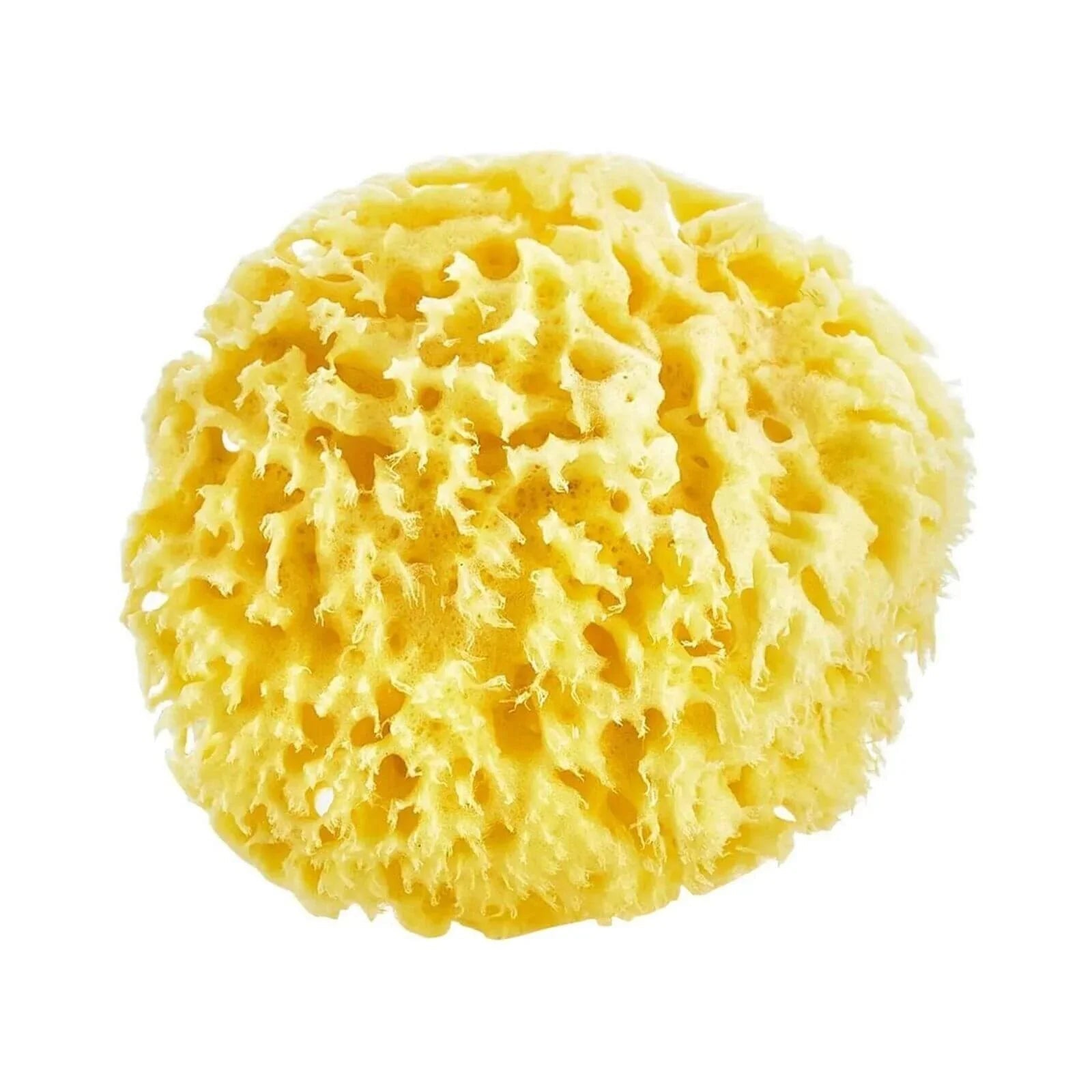 Babyjem Natural Sea Bath Sponge - mezetto ebebek ebebek