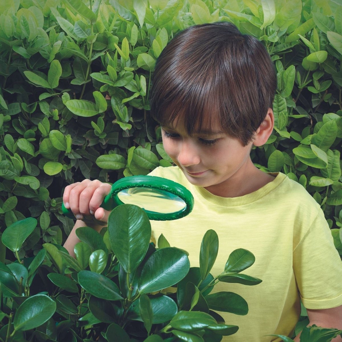 Brainstorm Outdoor Adventure Magnifier - mezetto ebebek ebebek