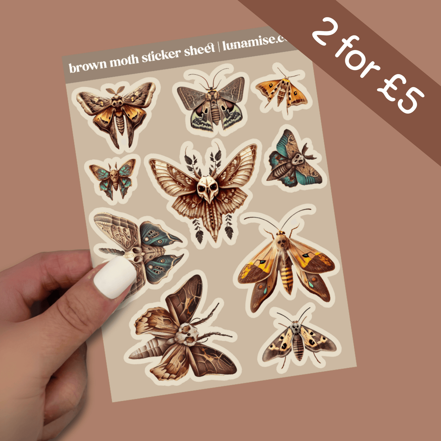 Brown Moth - mezetto Lunamise Lunamise