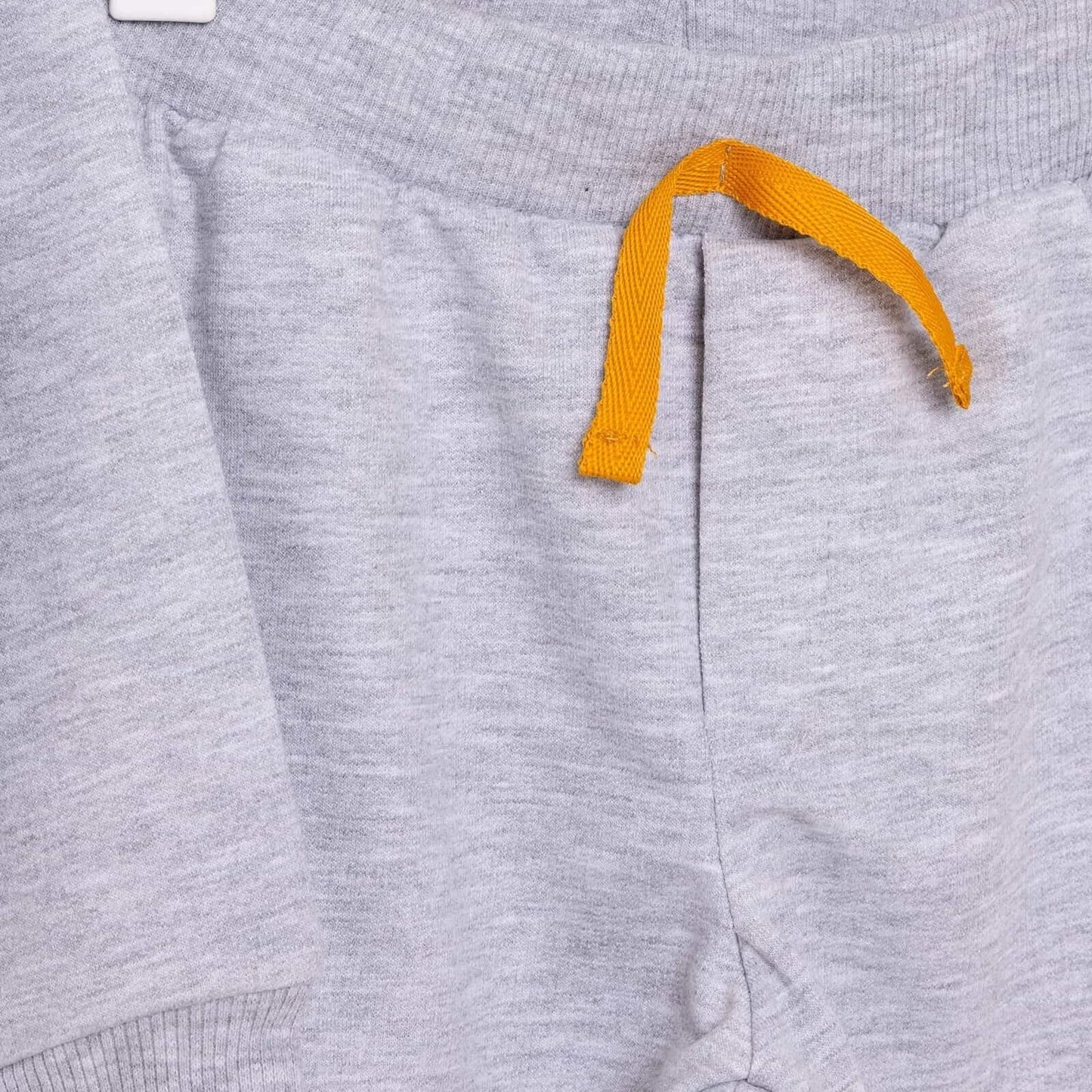 Cocux Animals Boy Jogging Set - Grey - mezetto ebebek ebebek