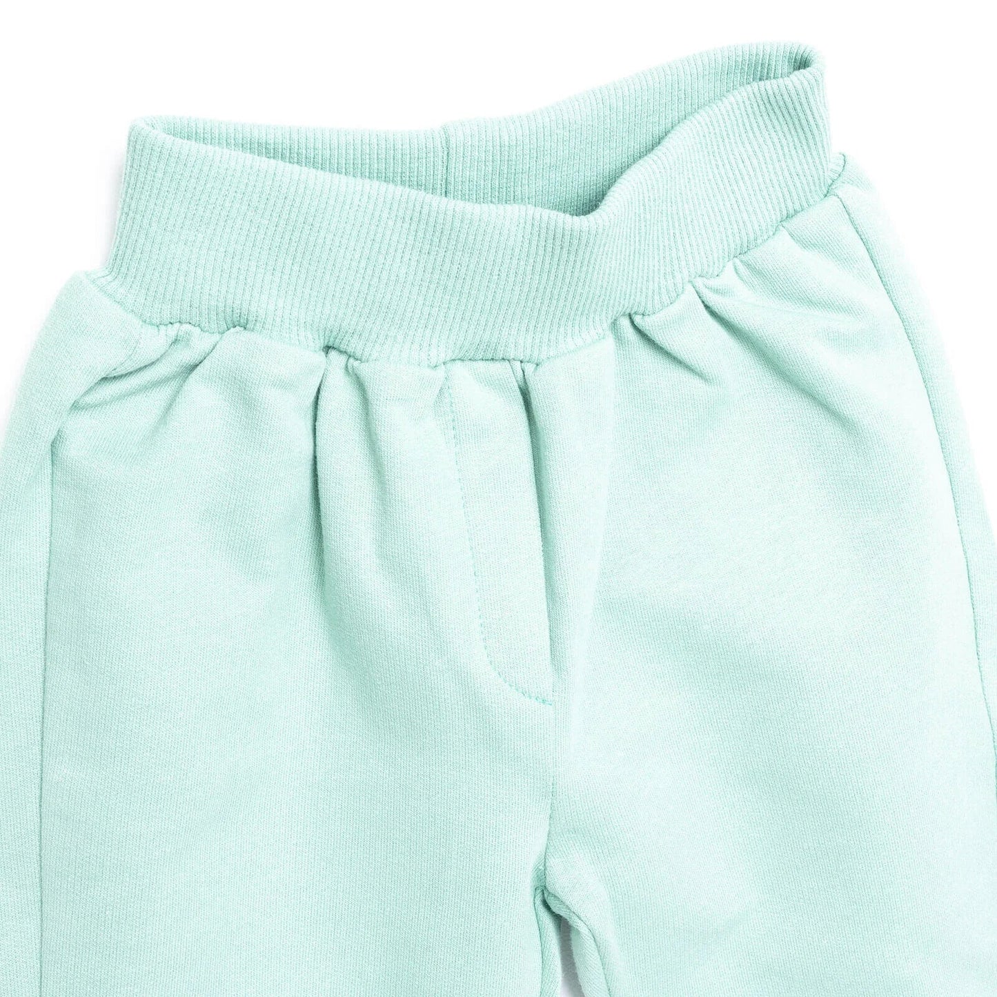 Cocux Baby Girl Cute Animals Tracksuit - Mint - mezetto ebebek ebebek