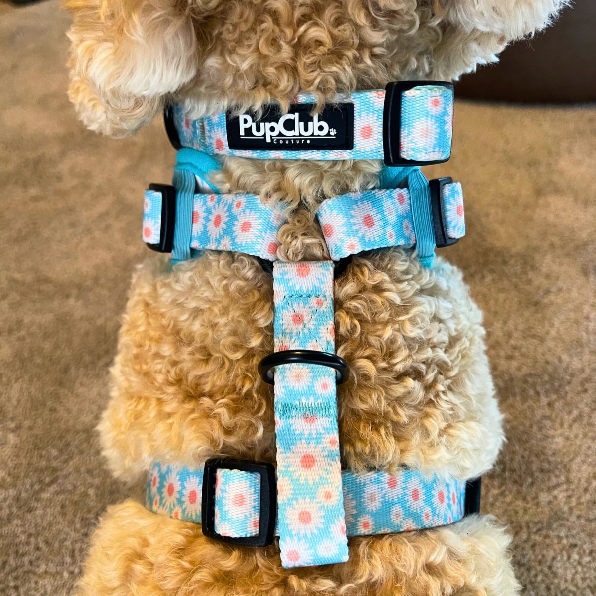 Collar - Pastel Daisy - mezetto PupClub Couture PupClub Couture