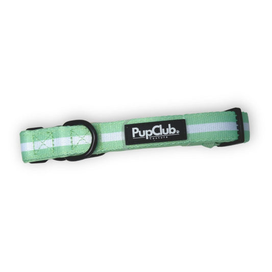 Collar - Pastel Mint - mezetto PupClub Couture PupClub Couture