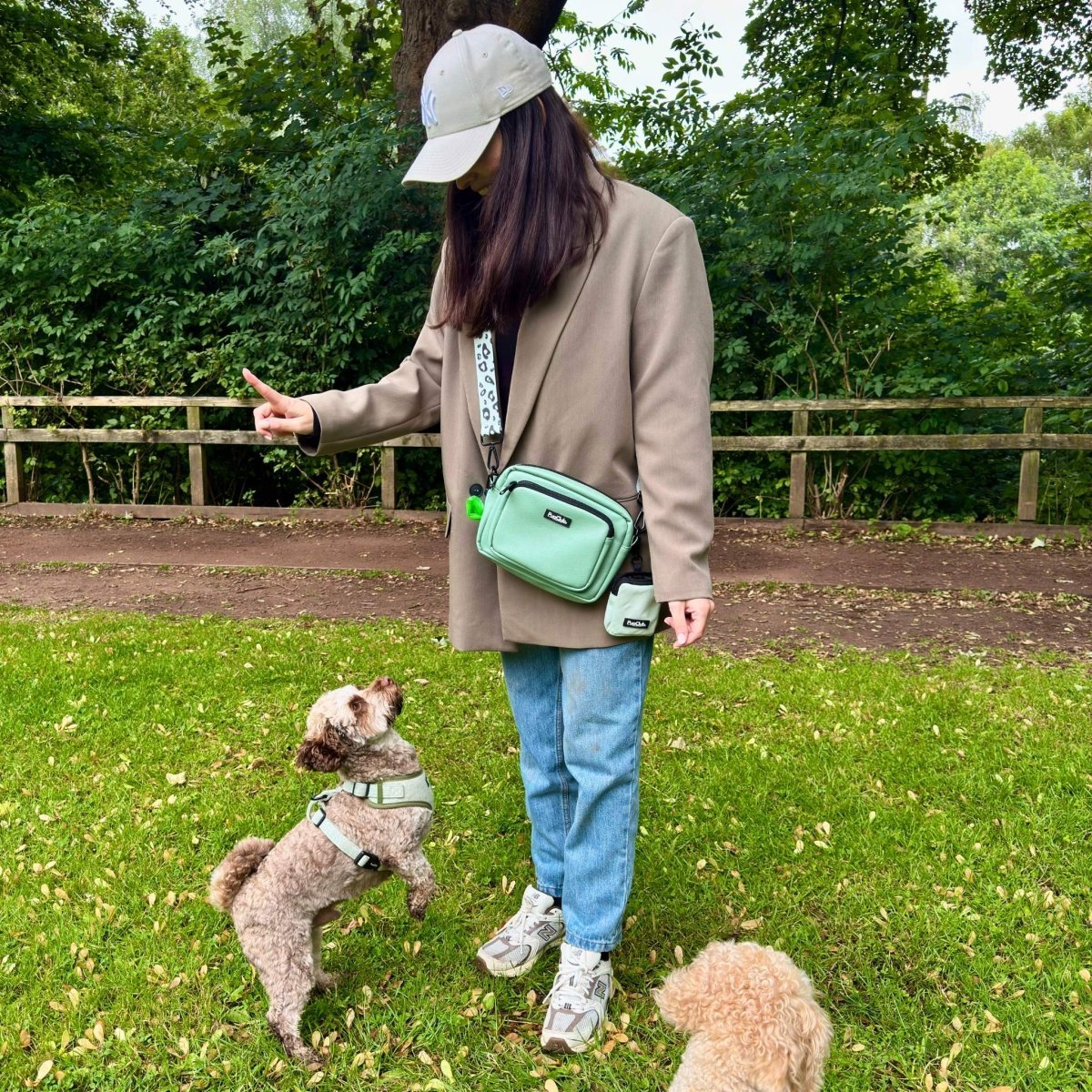 Crossbody Dog Walking Bag - Vegan Leather Sage Green - mezetto PupClub Couture PupClub Couture