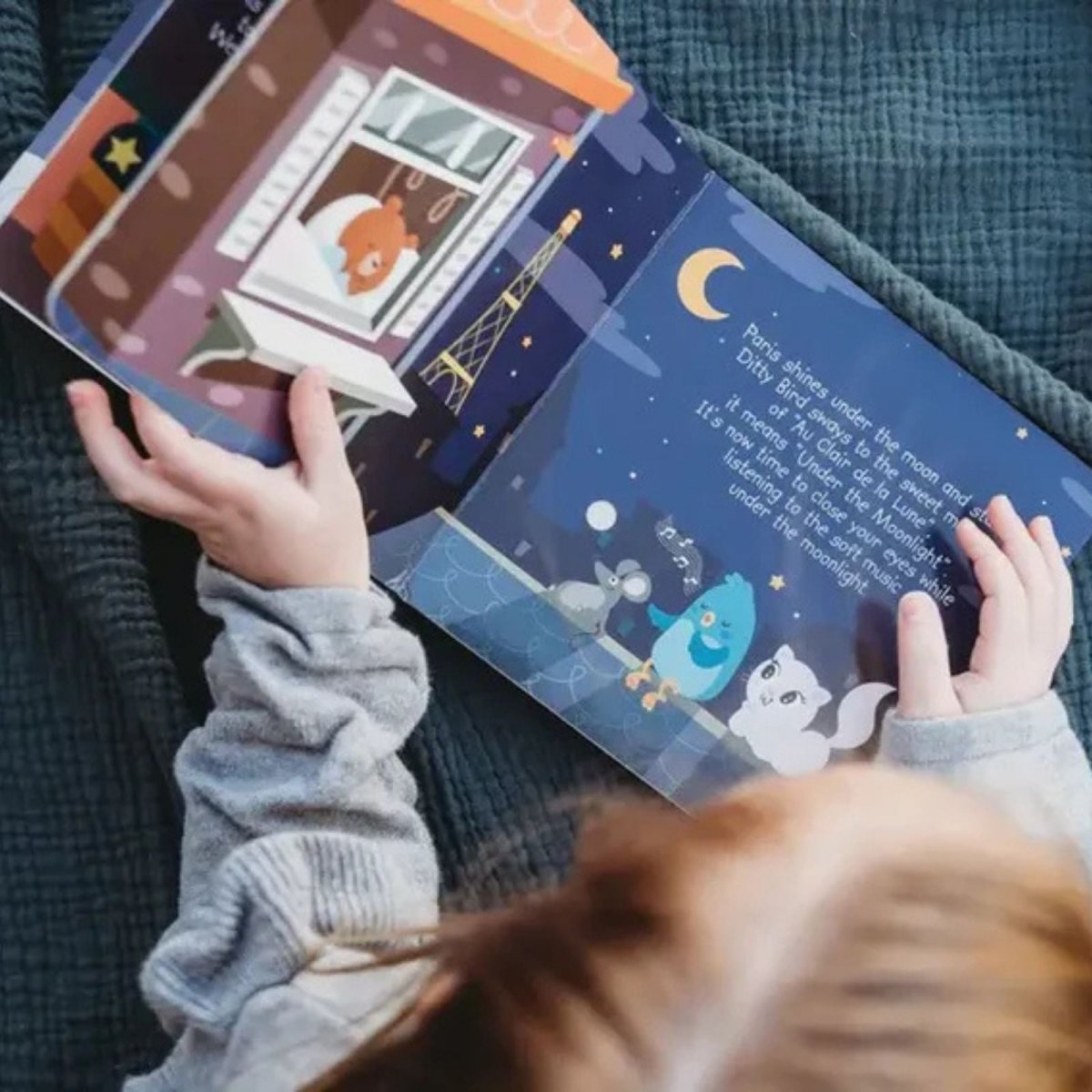 Ditty Bird Bedtime Songs Book - mezetto ebebek ebebek