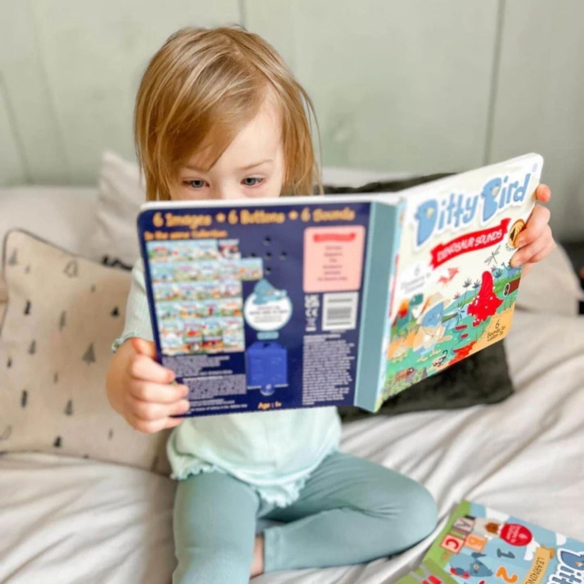 Ditty Bird Dinosaur Sounds Book - mezetto ebebek ebebek