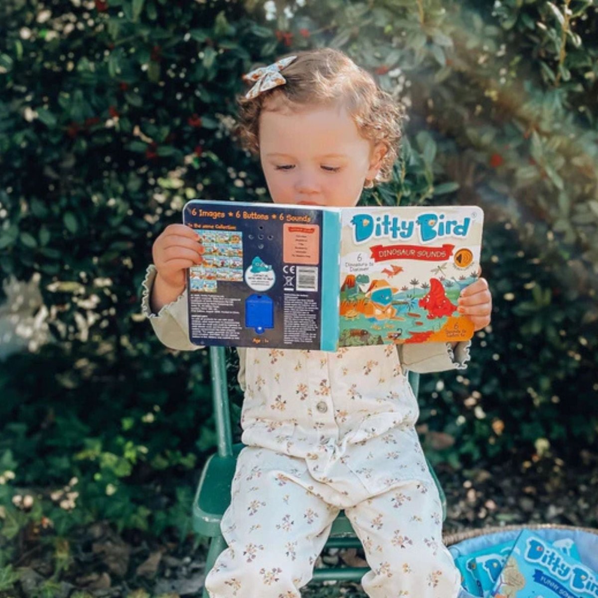 Ditty Bird Dinosaur Sounds Book - mezetto ebebek ebebek