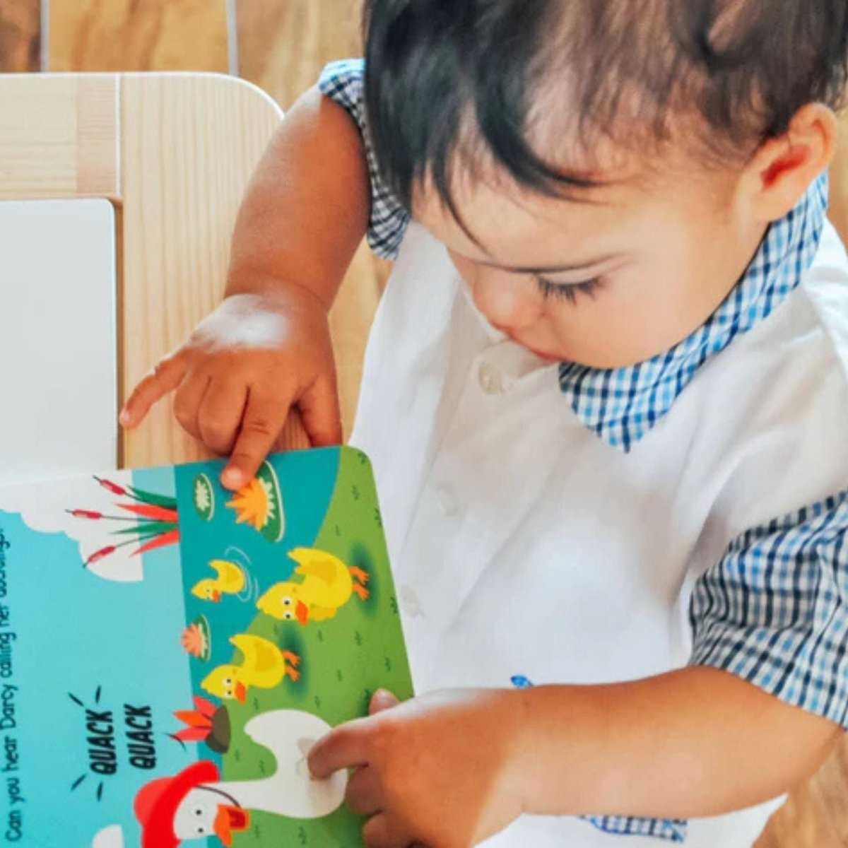 Ditty Bird Farm Animal Sounds Book - mezetto ebebek ebebek