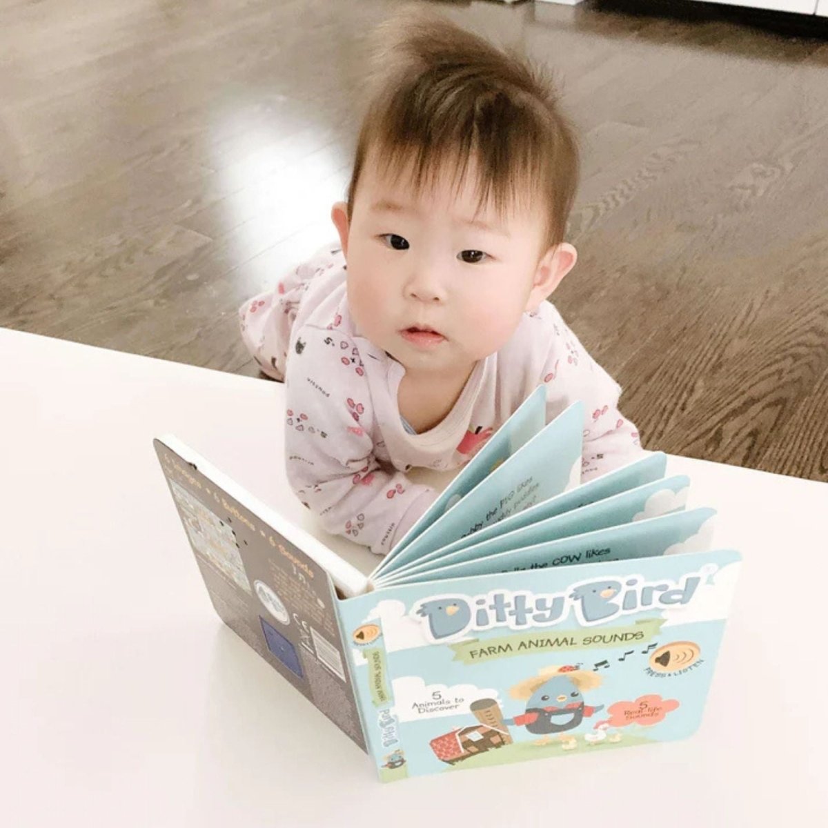Ditty Bird Farm Animal Sounds Book - mezetto ebebek ebebek
