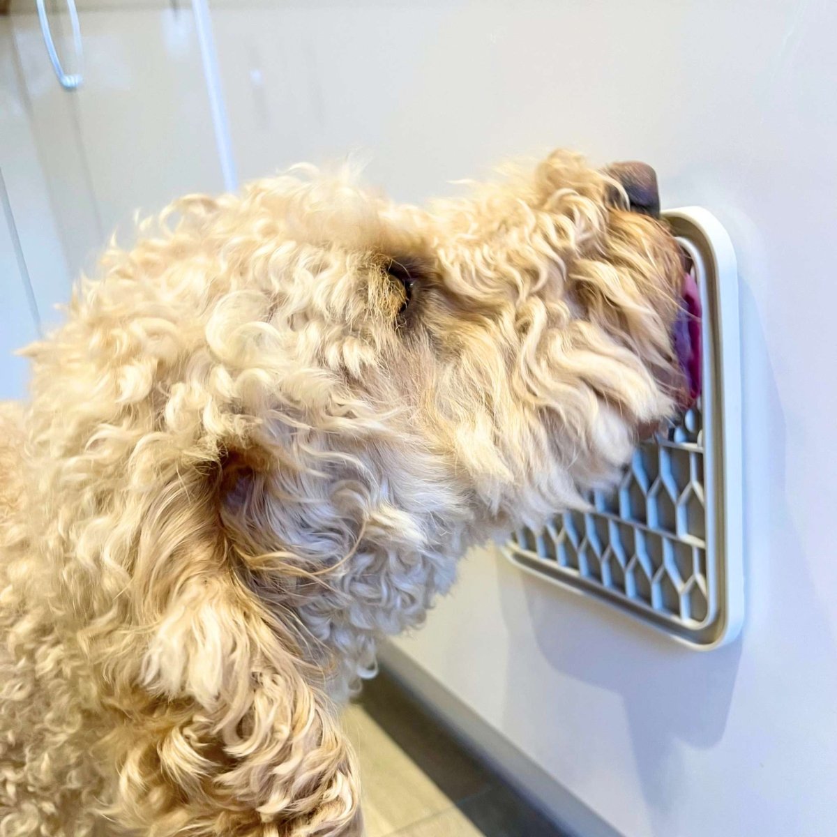 Dog Lick Mat - Cream - mezetto PupClub Couture PupClub Couture