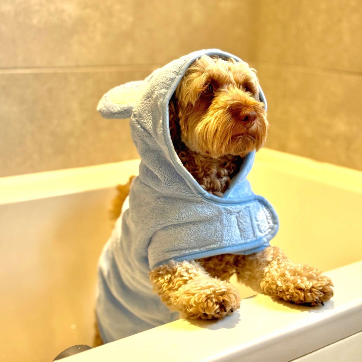Drying Robe - Blue - mezetto PupClub Couture PupClub Couture