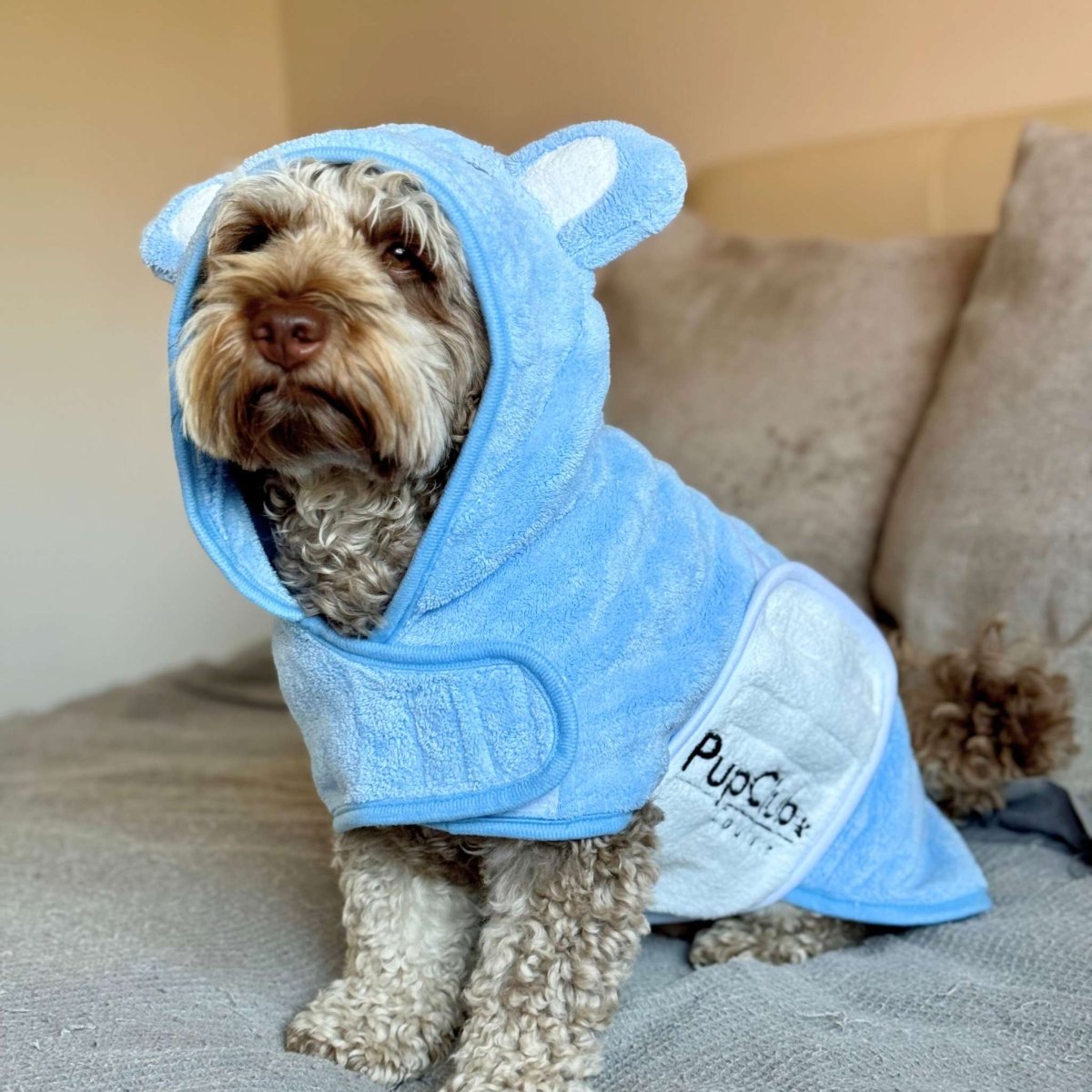 Drying Robe - Blue - mezetto PupClub Couture PupClub Couture
