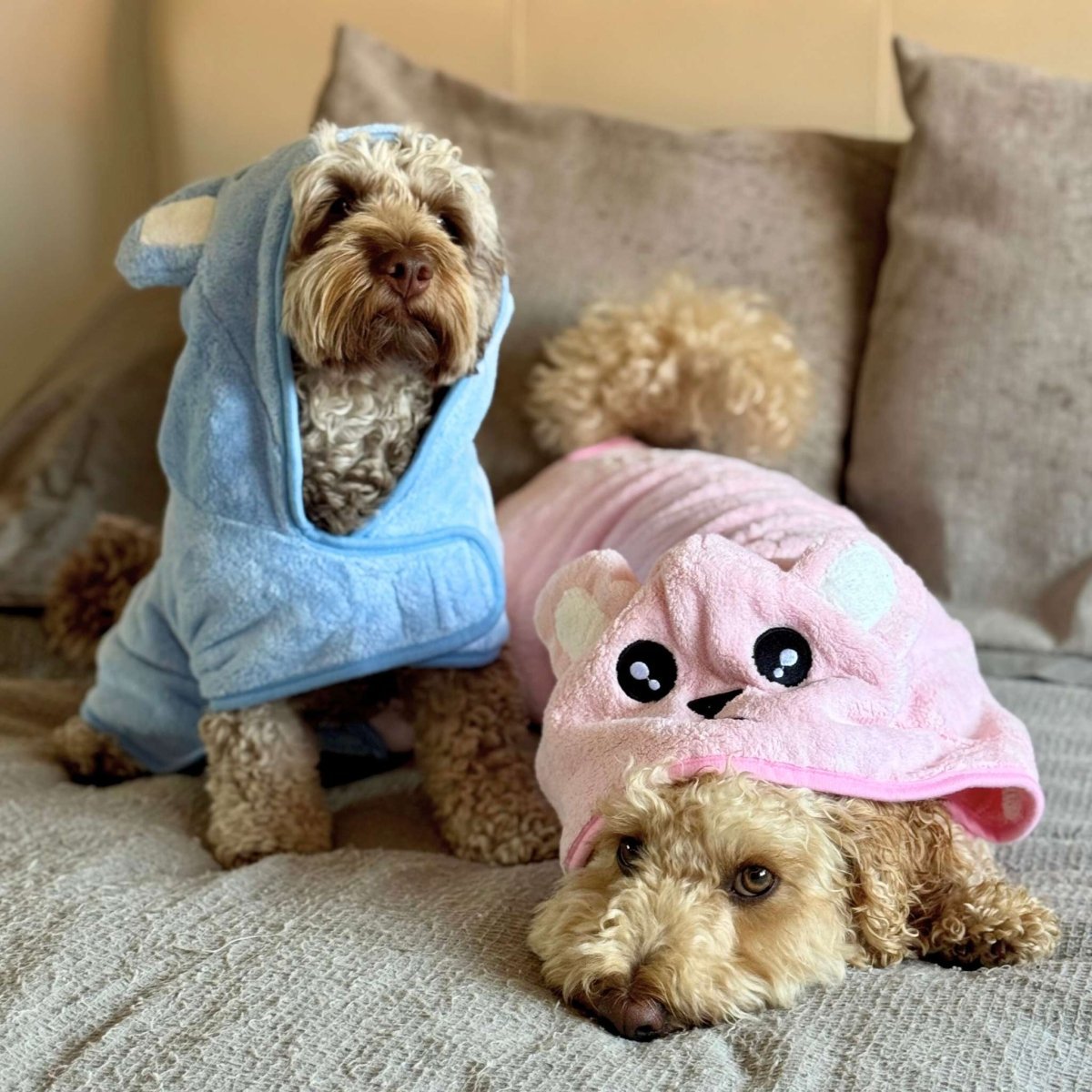 Drying Robe - Blue - mezetto PupClub Couture PupClub Couture
