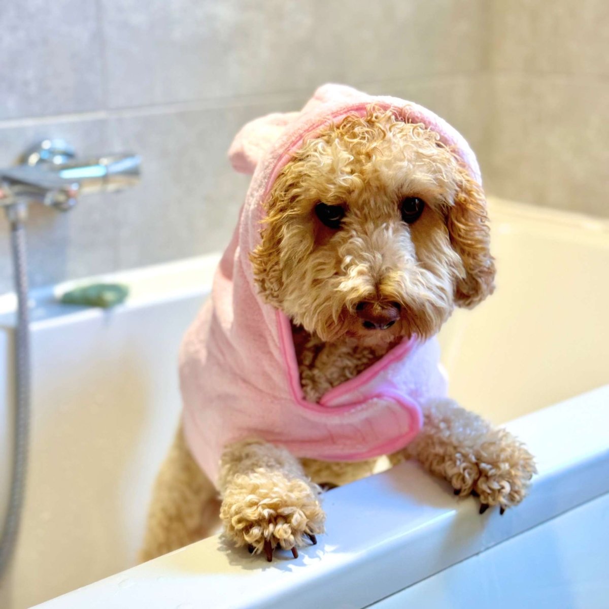 Drying Robe - Pink - mezetto PupClub Couture PupClub Couture