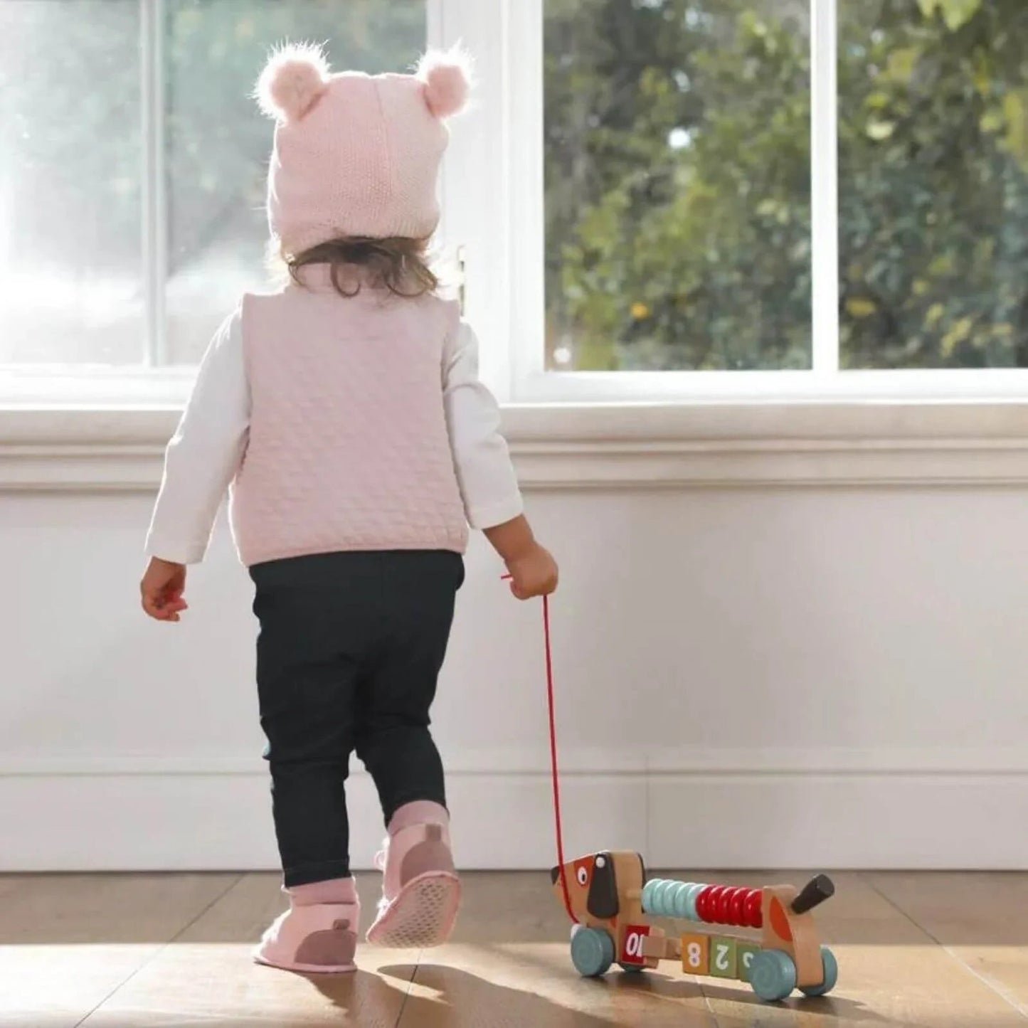 Edushape Counting Pull Along Puppy - mezetto ebebek ebebek