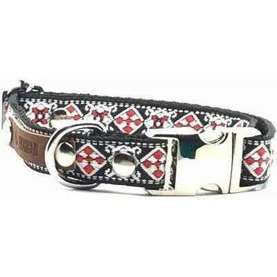 Finnigan's Enchanted Dog Lead-1