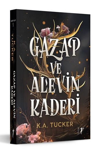 Gazap ve Alev'in Kaderi - Artemis Yayınları Kitap