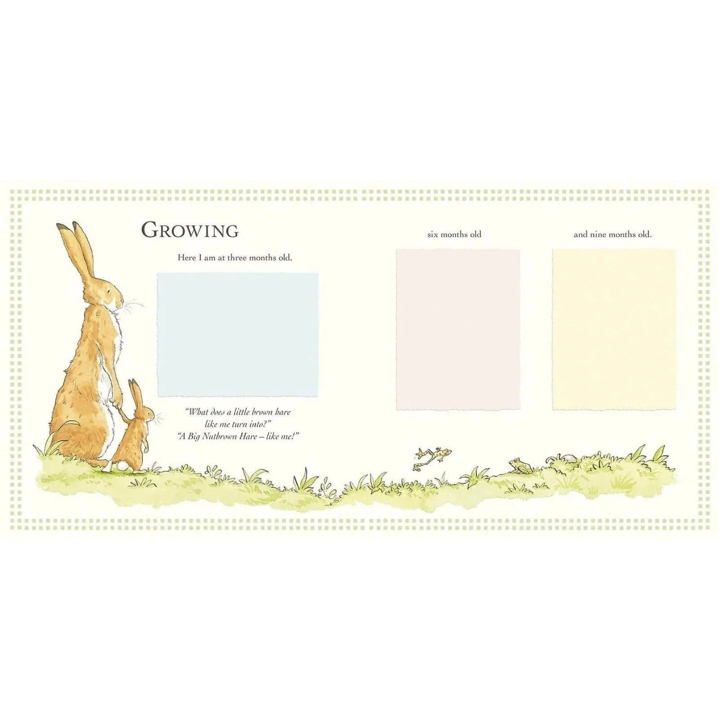 Guess How Much I Love You Record Book - mezetto ebebek ebebek