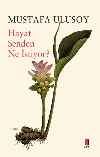 Hayat Senden Ne İstiyor? - Kapı Yayınları Kitap