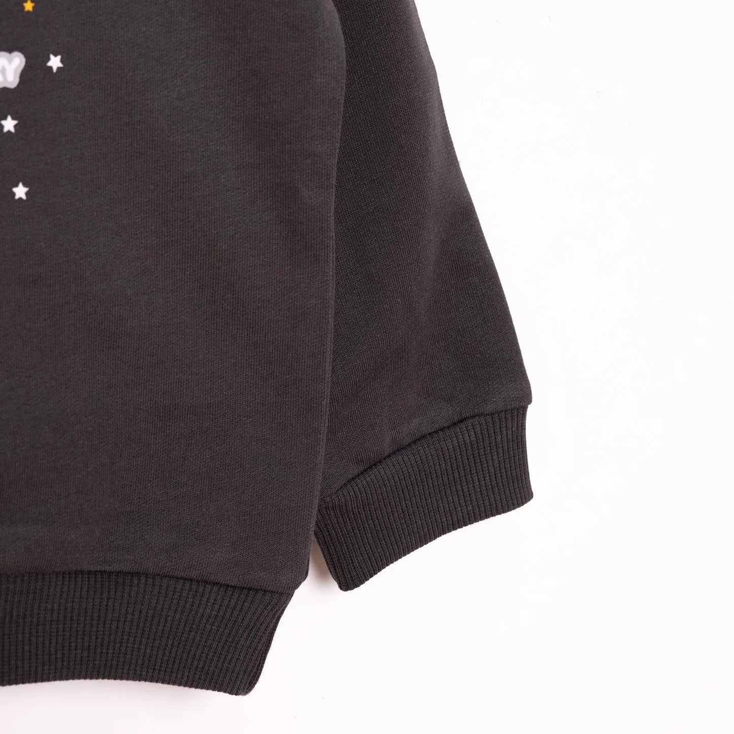 HelloBaby Basic Low Raised Lion Printed Sweatshirt - Dark Grey - mezetto ebebek ebebek