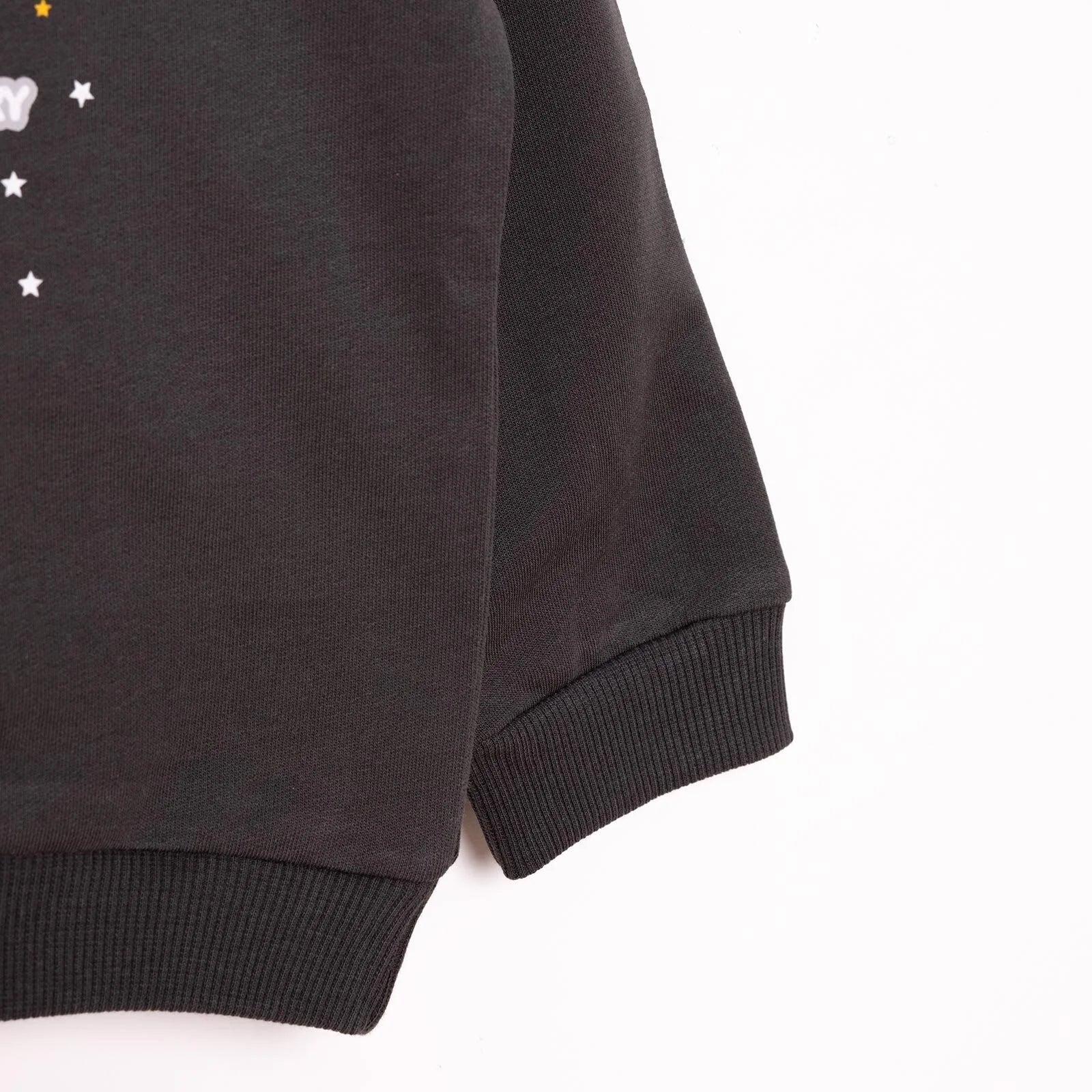HelloBaby Basic Low Raised Lion Printed Sweatshirt - Dark Grey - mezetto ebebek ebebek