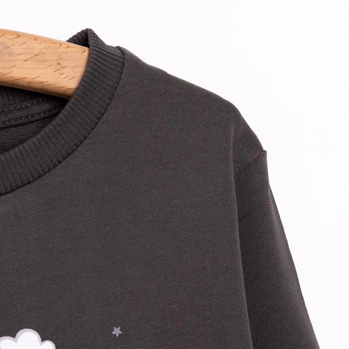 HelloBaby Basic Low Raised Lion Printed Sweatshirt - Dark Grey - mezetto ebebek ebebek