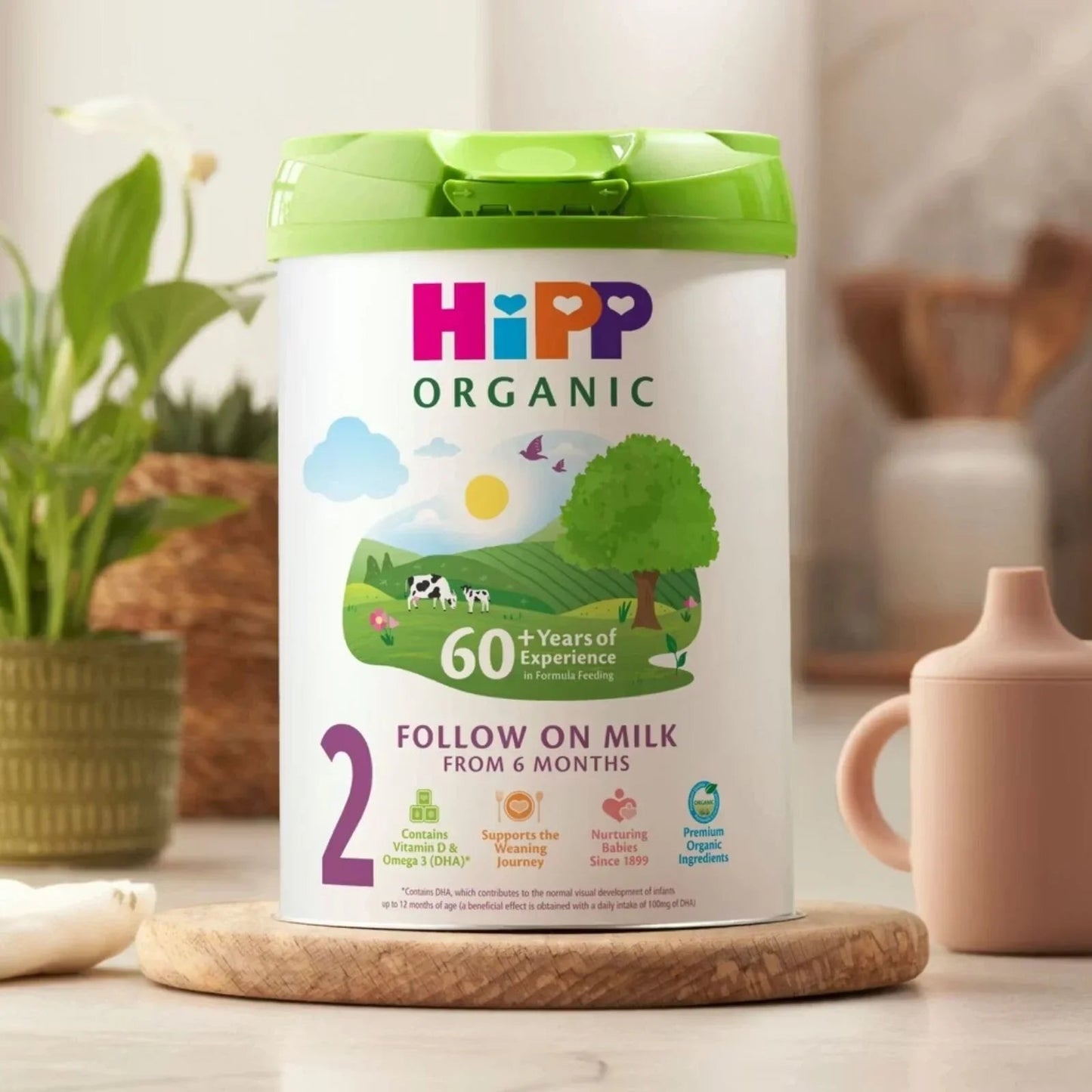 HiPP Organic 2 Follow on Baby Milk Formula from 6+ months 800g - mezetto ebebek ebebek