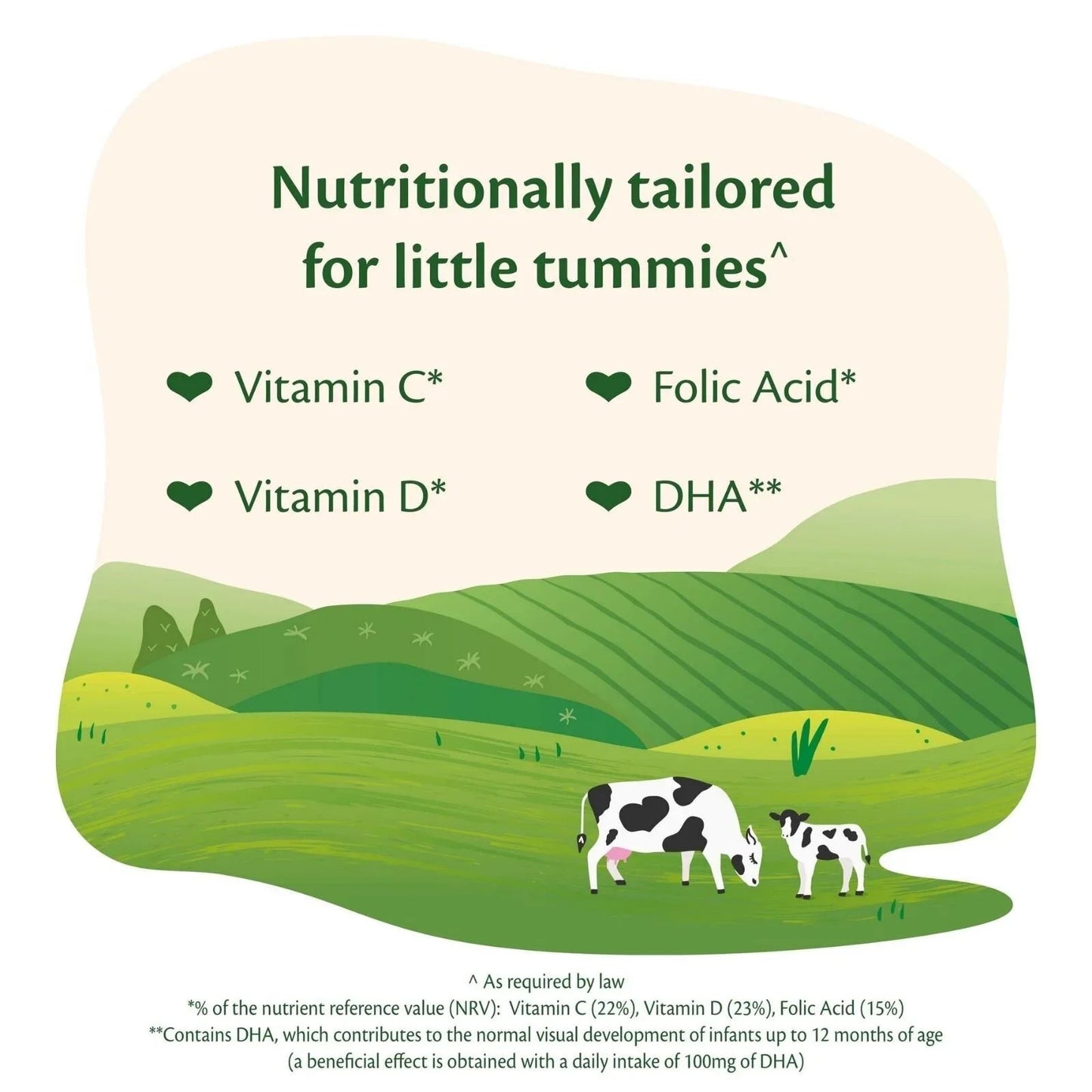 HiPP Organic 2 Follow on Baby Milk Formula from 6+ months 800g - mezetto ebebek ebebek