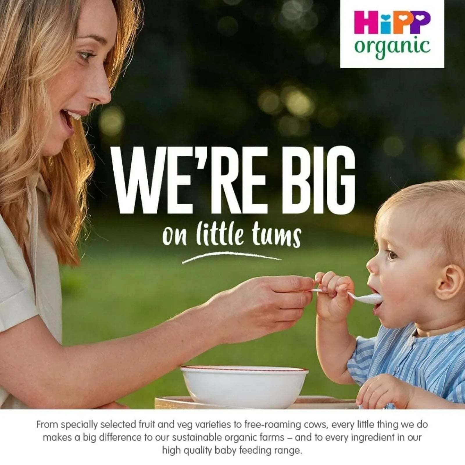 HiPP Organic Apple & Pear Jar 6+ months 125g - mezetto ebebek ebebek