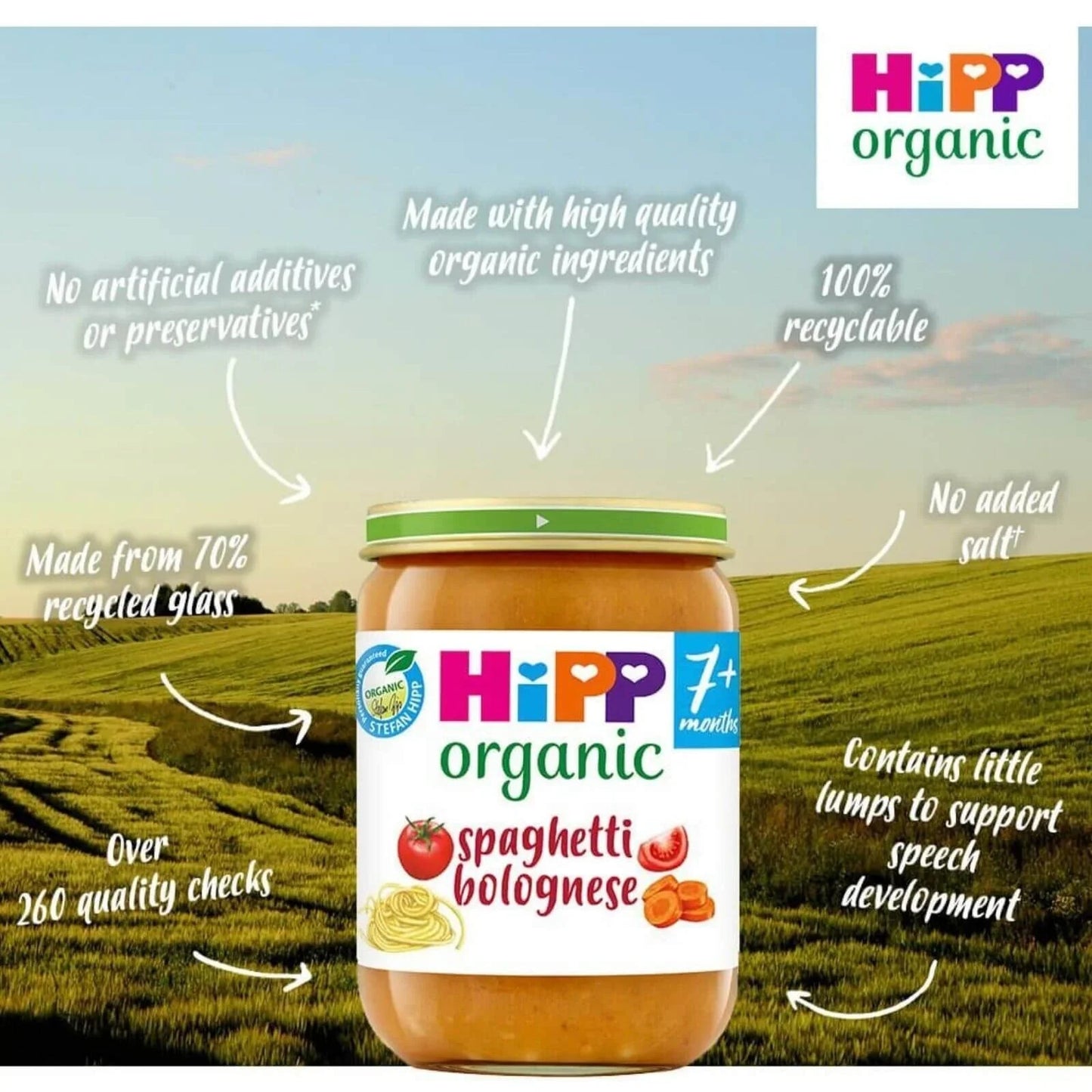 HiPP Organic Spaghetti Bolognese Baby Food Jar 7+ months 190g - mezetto ebebek ebebek