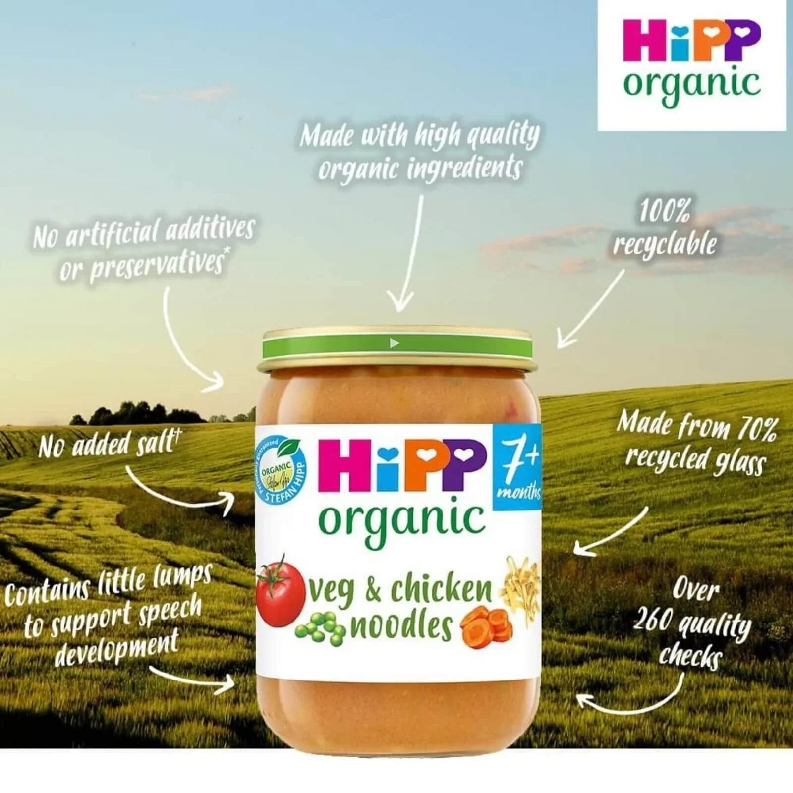HiPP Organic Vegetables & Chicken Noodles Baby Food Jar 7+ months 190g - mezetto ebebek ebebek