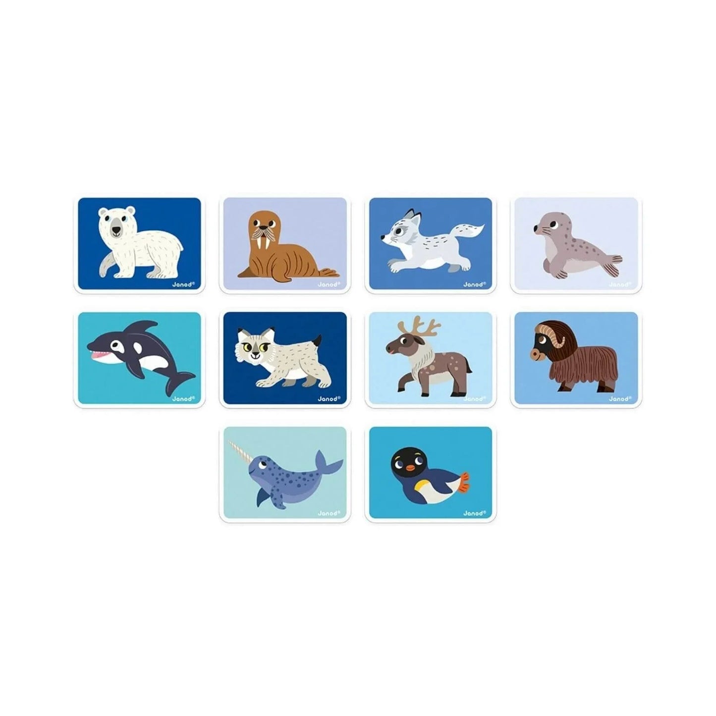 Janod Magnetibook Polar Animals - mezetto ebebek ebebek