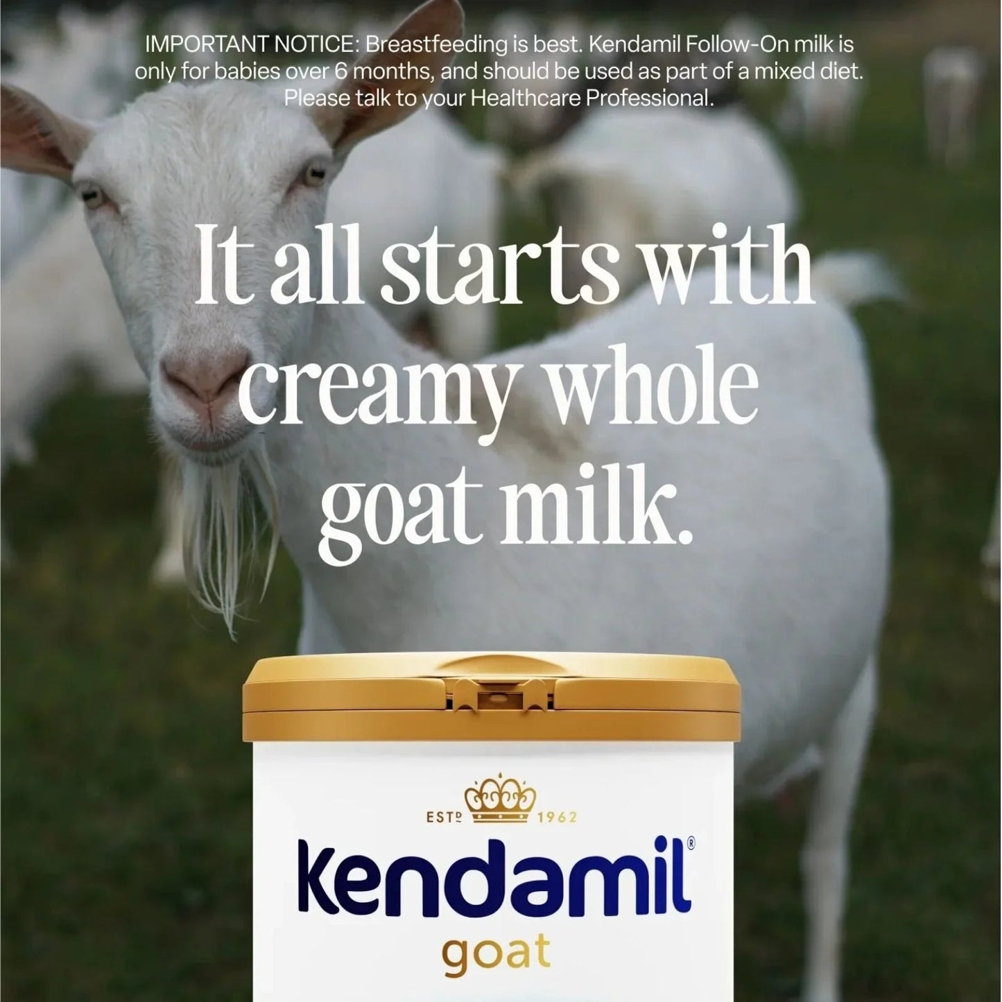 Kendamil Stage 2 Goat Follow - On Milk 6 - 12 months 800g - mezetto ebebek ebebek