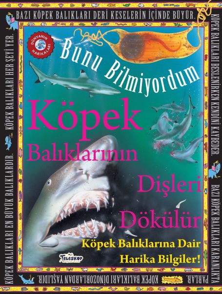 Köpek Balıklarının Dişleri Dökülür - Bunu Bilmiyordum - Köpek Balıklarına Dair Harika Bilgiler! - Teleskop Popüler Bilim Kitap
