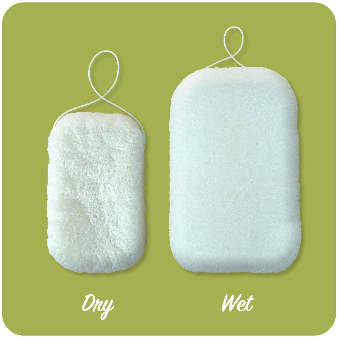 Konjac Sponge - mezetto Friendly Soap Friendly Soap