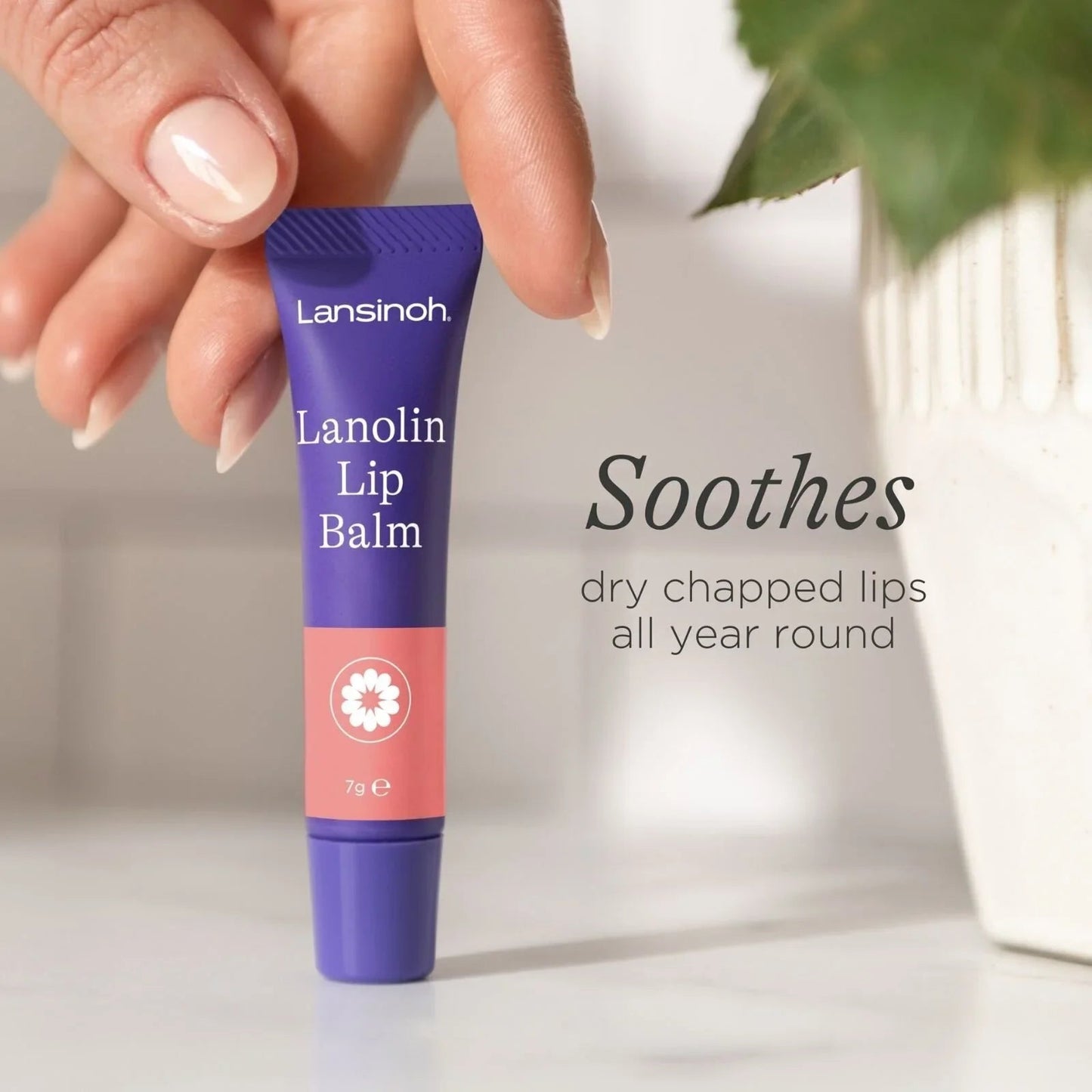 Lansinoh Lanolin Lip Balm 7g - mezetto ebebek ebebek